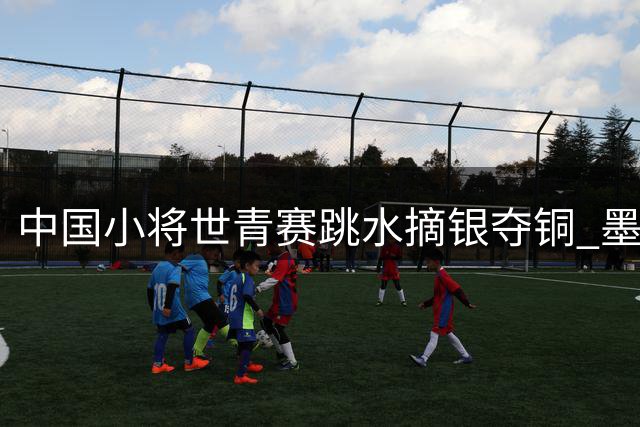 中国小将世青赛跳水摘银夺铜 墨西哥姐妹花包揽女子3米板冠季军