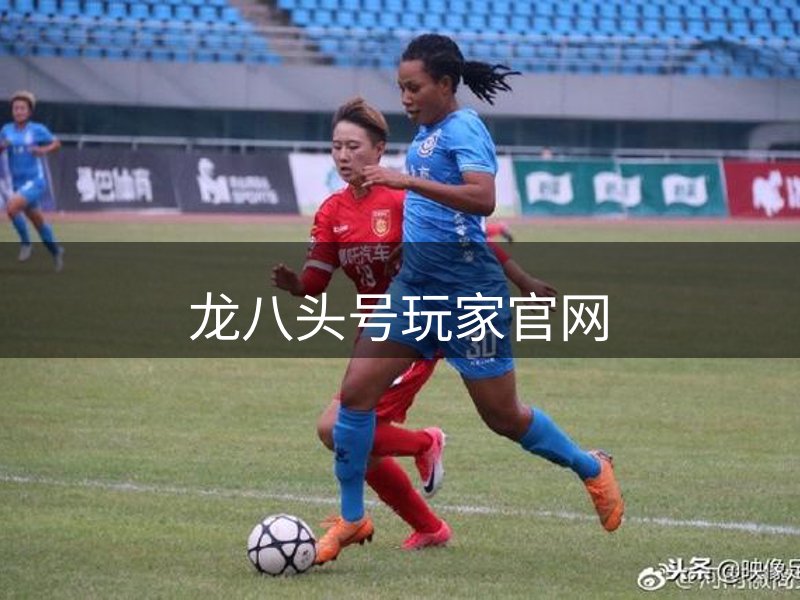 企业追求